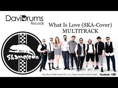 Skameleon - What Is Love (SKA-Cover) [MULTITRACK] [REMAKE] [BACKINGTRACK]