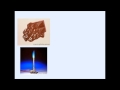 Understanding Variables in Scientific Experiments