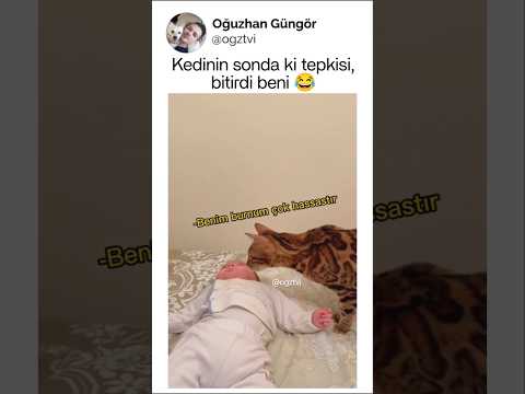 Koklayarak olayı çözen patican