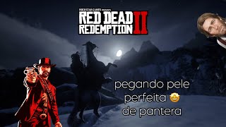 Ensinando a pegar pele perfeita de pantera Red Dead Redemption 2 ￼