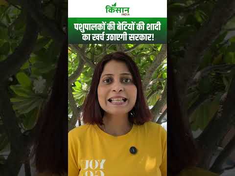 Saras Lado Mayra Yojana: पशुपालकों की बेटियों की शादी में सरकार दे रही है इतना पैसा!। #shortvideo