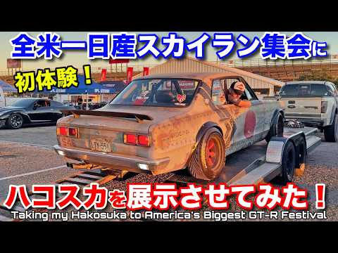 🇺🇸最大級🇯🇵日産スカイラン集会に行ってみた❗️超レアなGT-R続々発見‼️ I Went To The Biggest Nissan Skyline GT-R Festival in Texas!