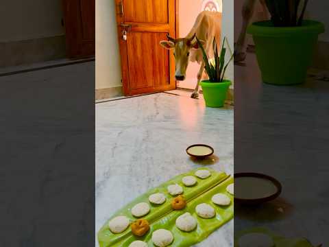 Gau Mata || Sri Krishna || Jay Jagannath || Cow #shorts #krishna #cow