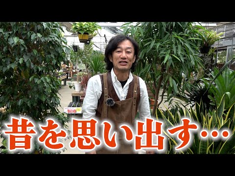 懐かしい気持ちになりました【カーメン君】【園芸】【ガーデニング】