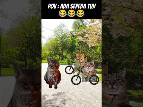Pov : Sepeda Siapa Tuh ⁉️ #meme #cat#kucing #kucinglucu #animation #fypシ