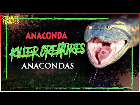 Killer Creatures: Anaconda