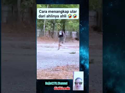 Cara menangkap ular ahlinya 😂 #shorts #komedi #memes #viralvideo #bajjel27rchannel #shortvideo