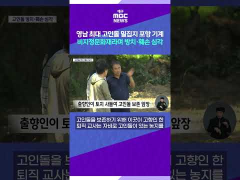 영남 최대 <strong>고인돌</strong> 밀집지 포항 기계 비지정문화재라며 방치·훼손 심각 #shorts (대구MBC)