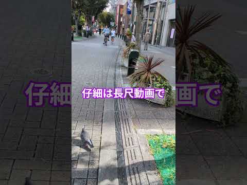 【EP5宣伝ショート】全てを失ったので新開地いってきた #shorts