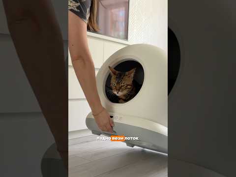 OZON APT. 1730780029