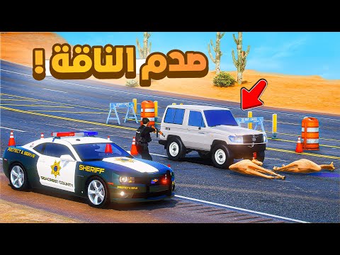 فلم قراند | هروب ناقة ابوي..!! 😢🔥 شوف وش صار GTA V