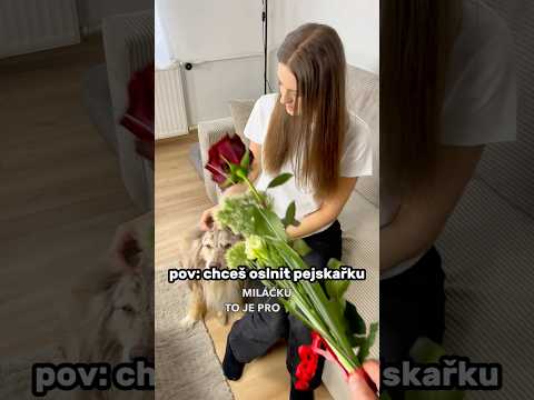 Když chceš oslnit pejskařku😂