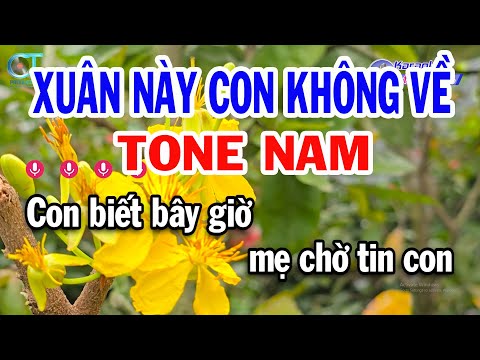 Karaoke Xuân Này Con Không Về Tone Nam ( D ) Beat Mới Nhạc Tết 2025 || Đồng Sen Karaoke