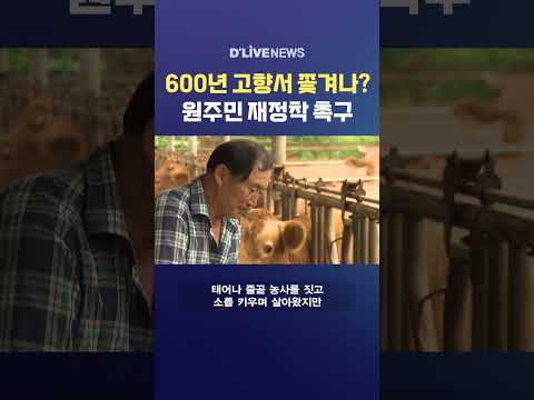 600년 고향서 쫓겨나? 원주민 재정착 촉구 #딜라이브뉴스 #shorts