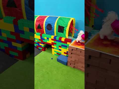 Paw Patrol Wiggles and Waffles Race through the Course to Lego Lookout Tower