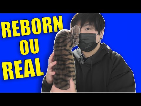 ADOTEI UMA GATA JAPONESA!