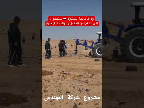 وداعاً بادية السماوة 🇮🇶 ستتحول الى غابات من النخيل و الاشجار المعمرة #العراق #اكسبلور