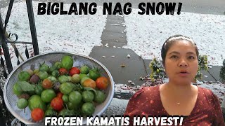 BUHAY AMERIKA: NAPAGA ANG SNOW ! BIGLANG NAGSNOW AY DI PA WINTER