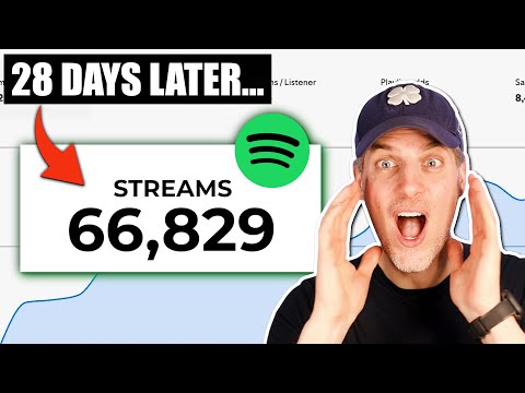 These Easy-To-Copy Ads Gave Me 66,000 Spotify Streams In 28 Days