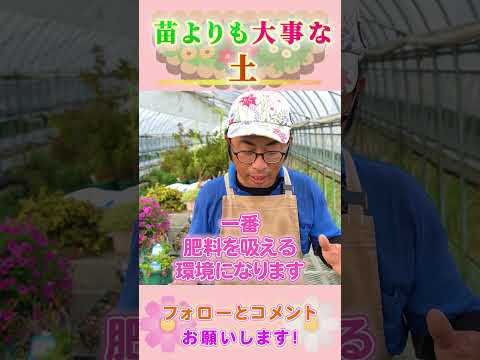 超大切な土について ｂｙ園芸チャンネル 820  #園芸 #ガーデニング #初心者
