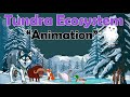 Tundra Ecosystems and Adaptations