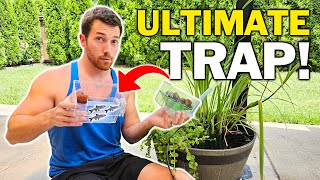 I'm About To AUTOMATICALLY Steal All These Aquarium Fish!