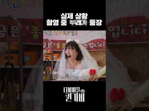 예능신이 보우하사