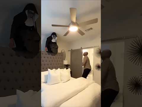 every day a joy 25 #funny #funnyvideo #funnyvideos #shorts #shortvideo #prank #pranks #prankvideo