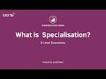Global Specialization and Supply Chains
