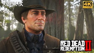 Red Dead Redemption 2 | Part 33: American Distillation | Walkthrough | No Commentary