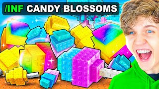 Grow A Garden OWNER Gave Us INFINITE CANDY BLOSSOMS..!?