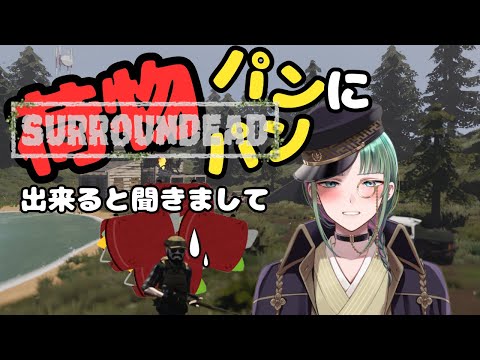 thumbnail_v3GrCRvRFiQ