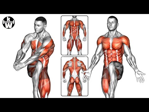 Standing Full-body Workouts Convert Fat to Muscle Quickly.