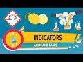 Choosing the Right Indicator for Titration