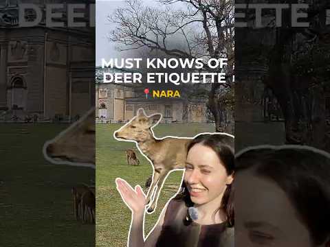 Planning to feed the deer during your visit to Nara Park?