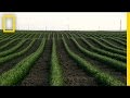 Agricultural UAVs and Their Impact
