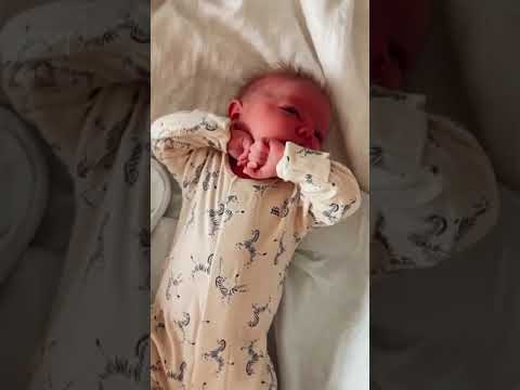 The Ollie Swaddle...  #theollieworld #shorts #ytshorts