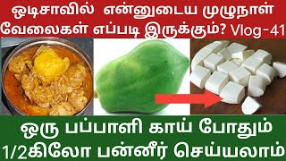1 பப்பாளி காய் போதும் 1/2 கிலோ பன்னீர் செய்ய #vlog #minivlog #vegetarian #paneer #odishavillagelife