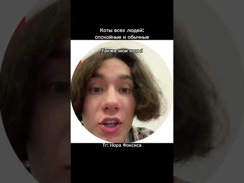 Кружки в тг: Нора Фоксиса