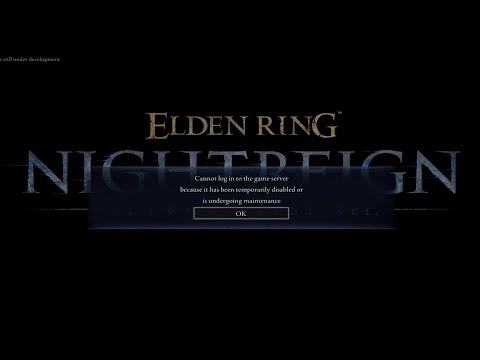 The Nightreign Experience