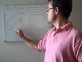 Circle and Square Relationships