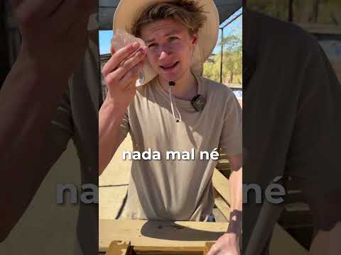 Comprei um saco de terra de US$ 75 para encontrar OURO, DIAMANTE e GEMAS