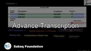 Advance Transcription
