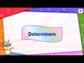 Understanding Determiners in English