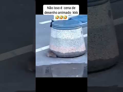 Tom & Jerry 🐀🐈