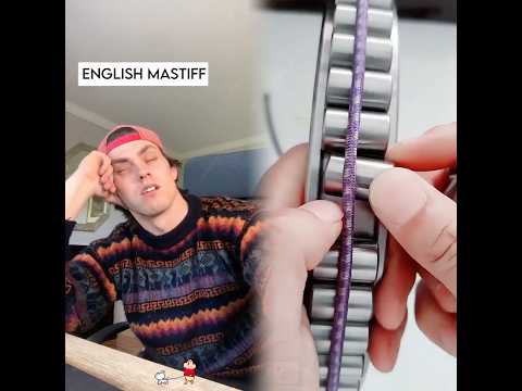 If dog breeds were people part 4! #foryou #funny