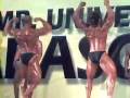 musclefranz