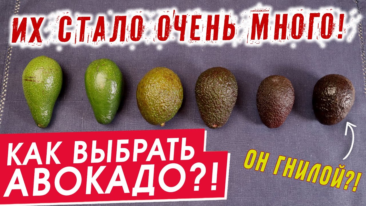 Как выбрать авокадо - ПОЛНЫЙ ТЕСТ - Сорта авокадо