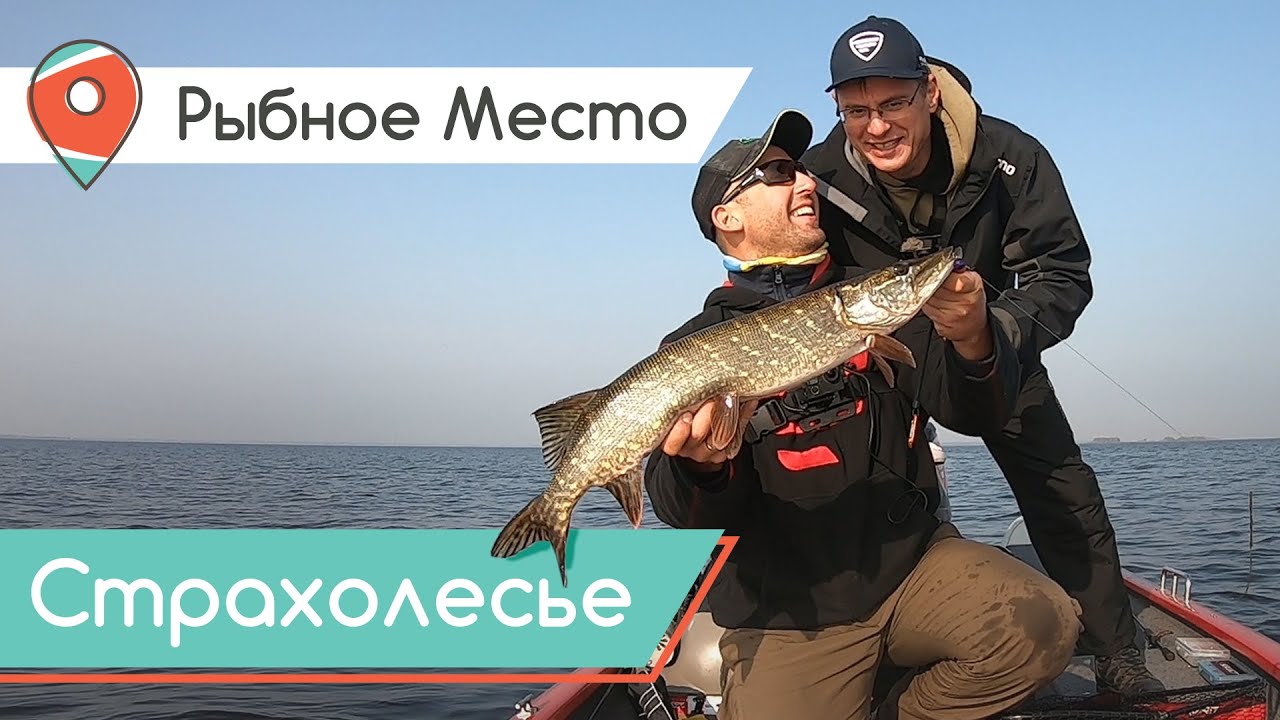 Щука, судак, окунь - так выглядит осенняя ловля хищника с лодки на водохранилище. Рыбное место