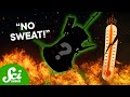 SciShow: Parker Solar Probe and Heat Transfer